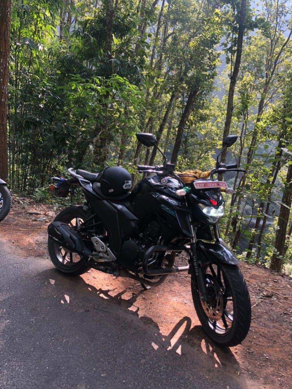 2020 Yamaha FZ 25 image