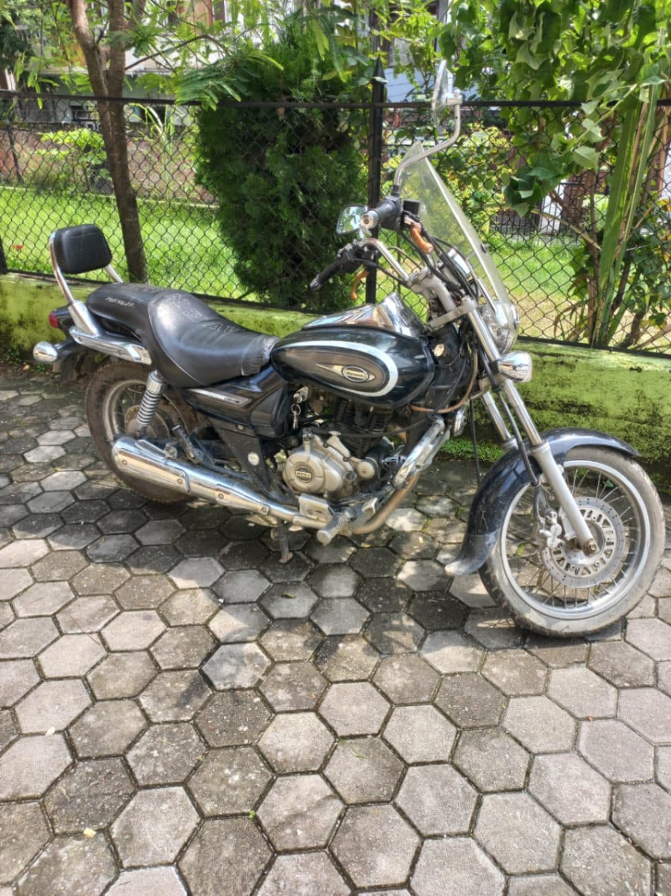 2017 Bajaj Avenger 220 Cruise image