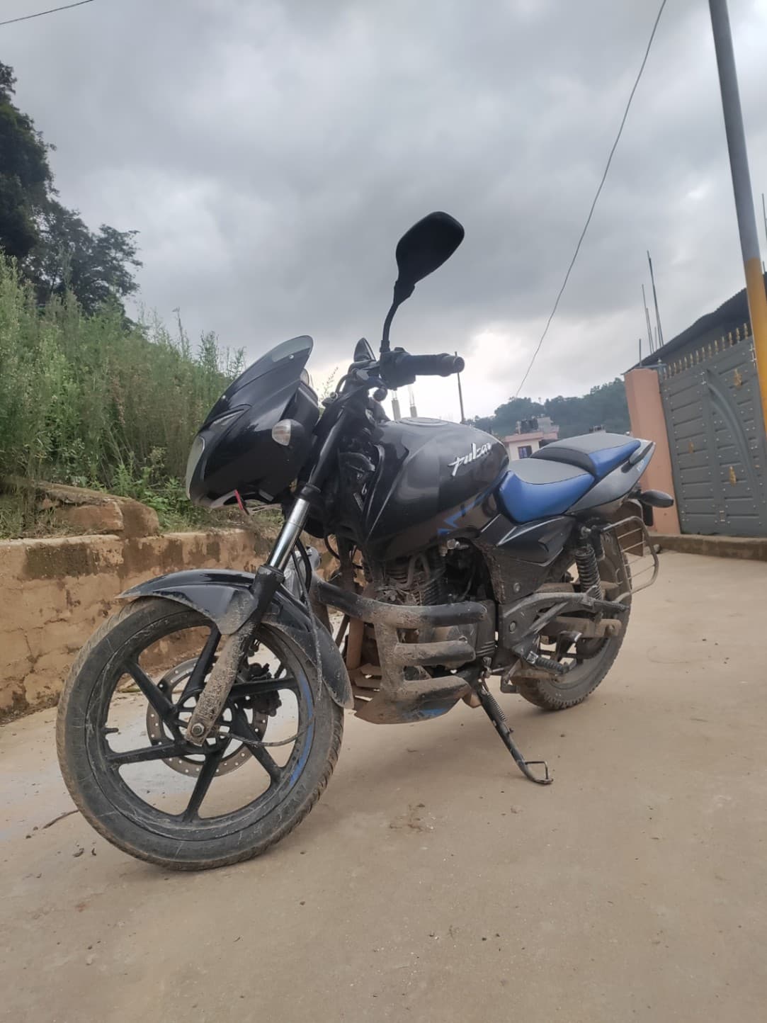2019 Bajaj Pulsar 150TD image