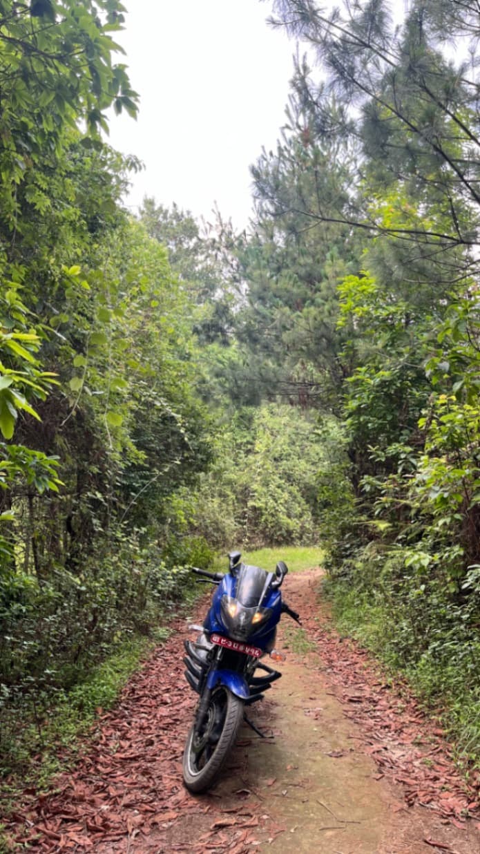 2017 Bajaj Pulsar 220F image