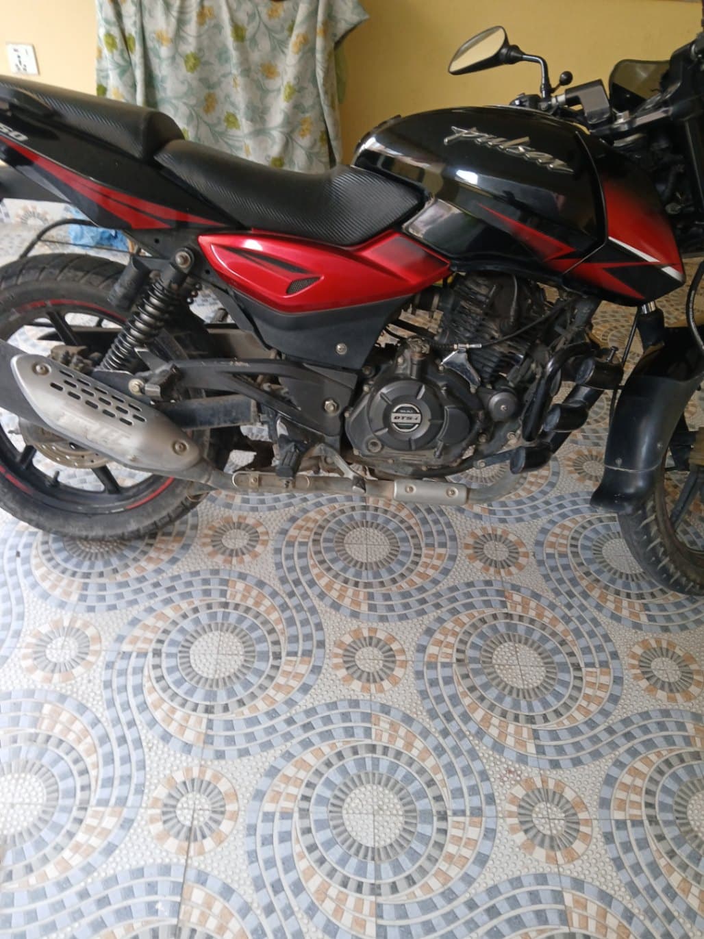 2018 Bajaj Pulsar 150TD image