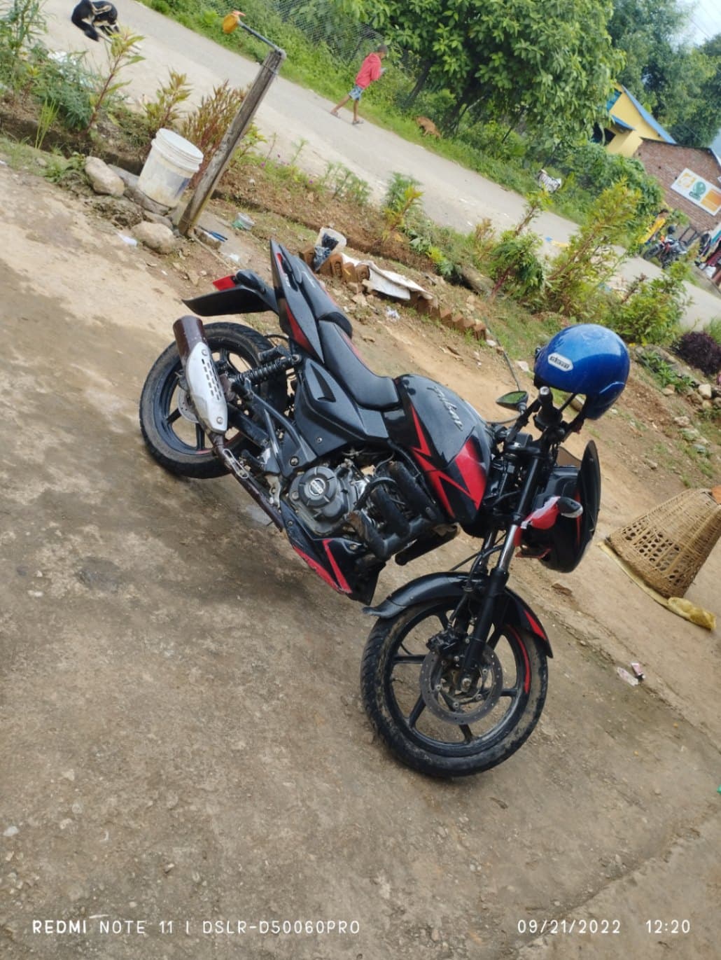 2019 Bajaj Pulsar 150TD image