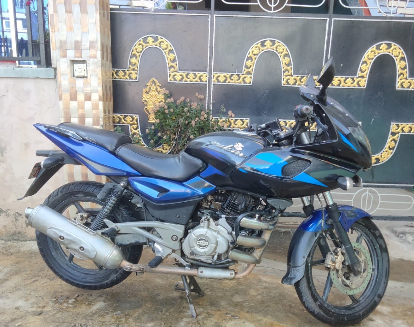 2017 Bajaj Pulsar 220F image