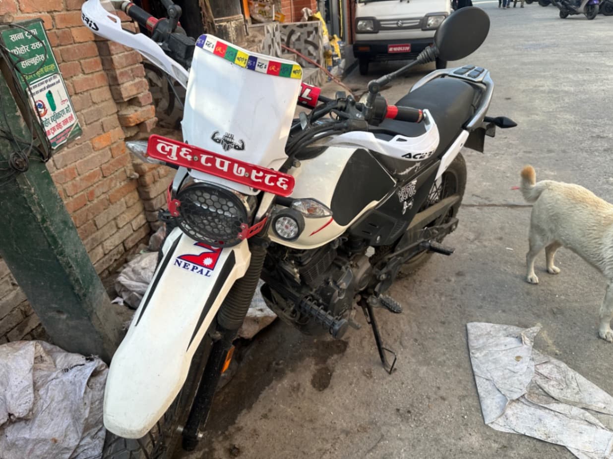 2020 Hero XPulse 200 image