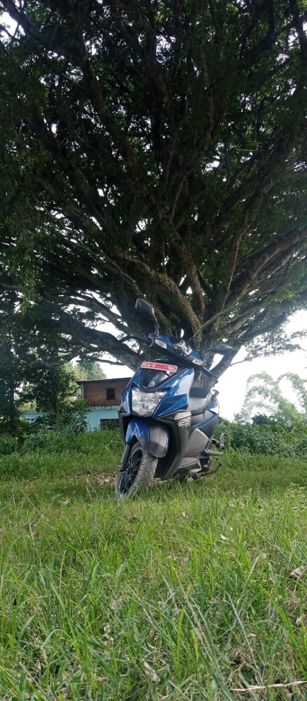 2023 TVS Ntorq 125 Drum image
