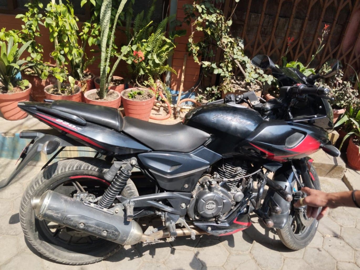 2020 Bajaj Pulsar 220F image