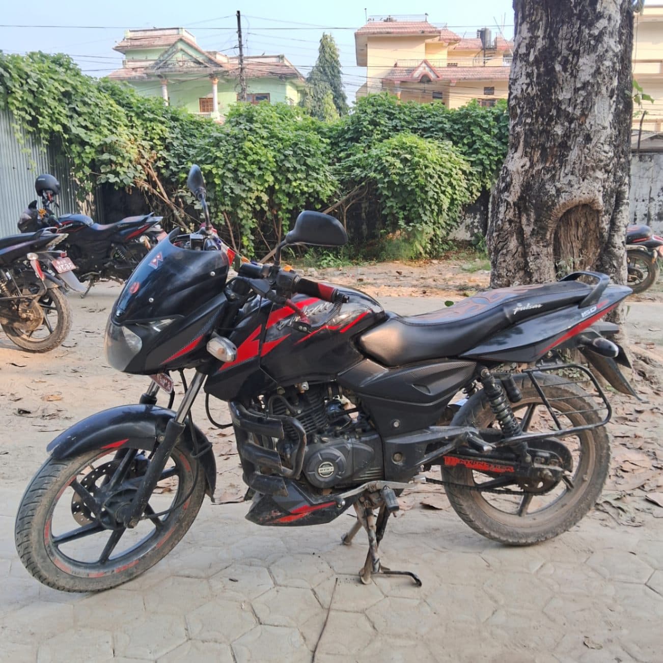 2019 Bajaj Pulsar 150 image