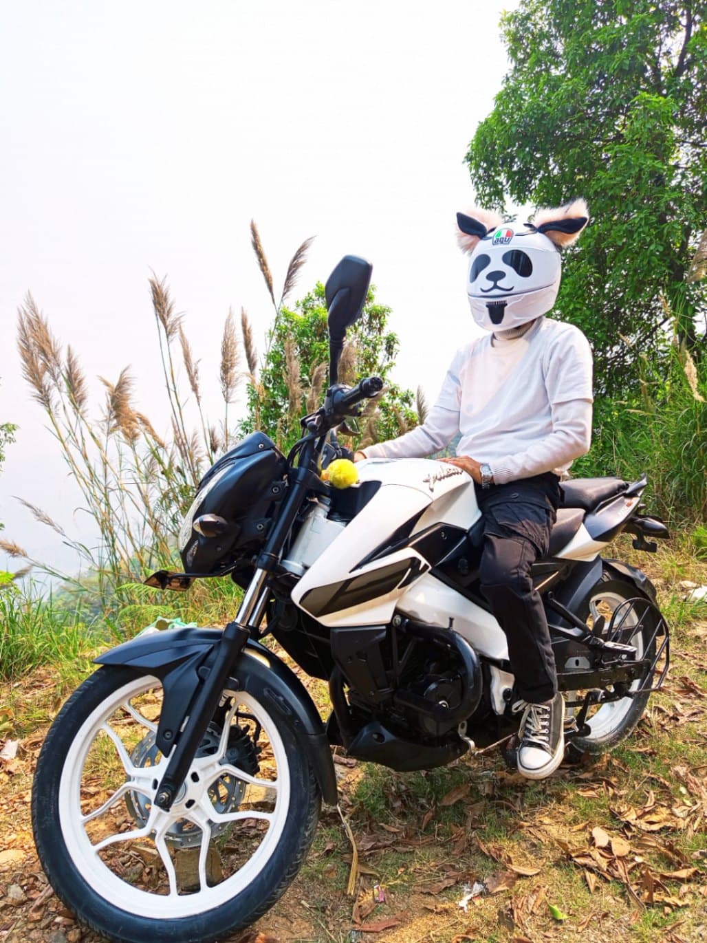 2021 Bajaj Pulsar NS 160 image