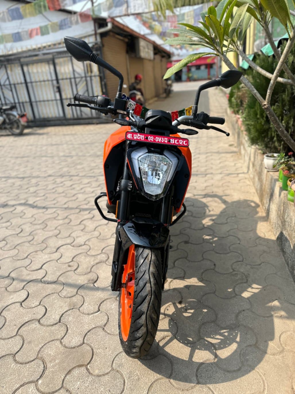 2024 KTM Duke 200 image