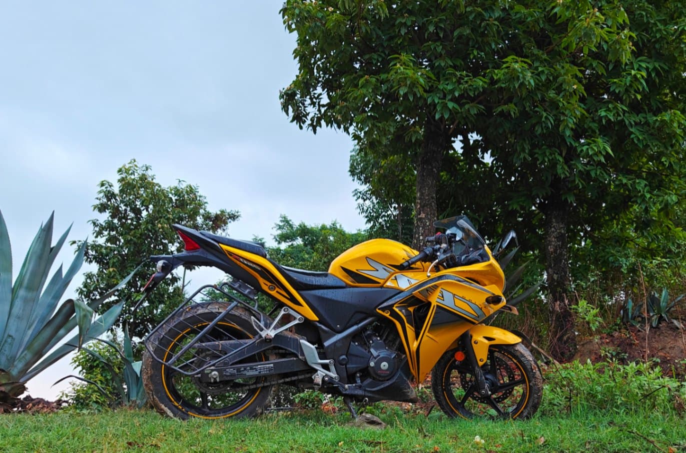 2018 Honda CBR 250R image