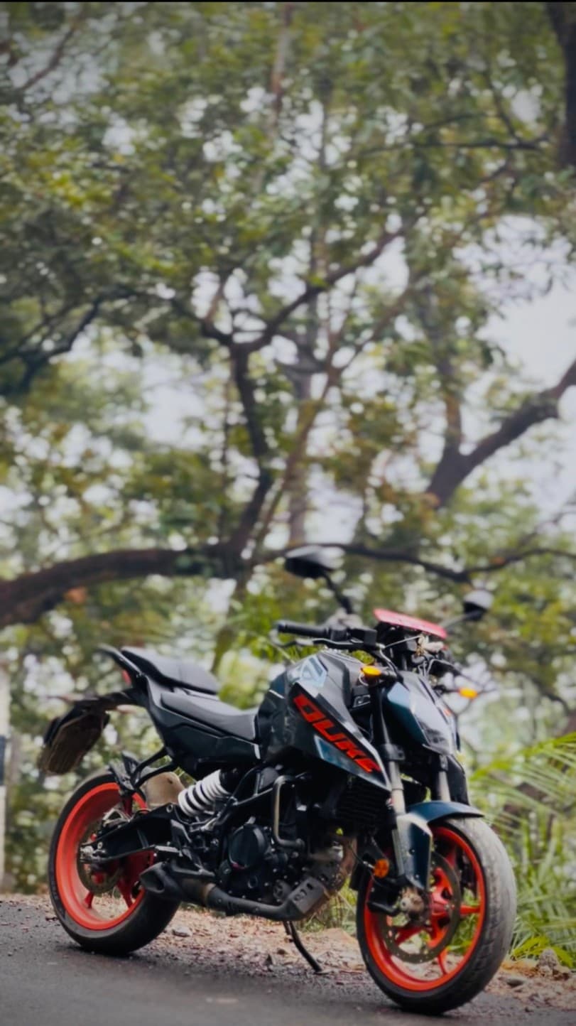 2024 KTM Duke 250 image