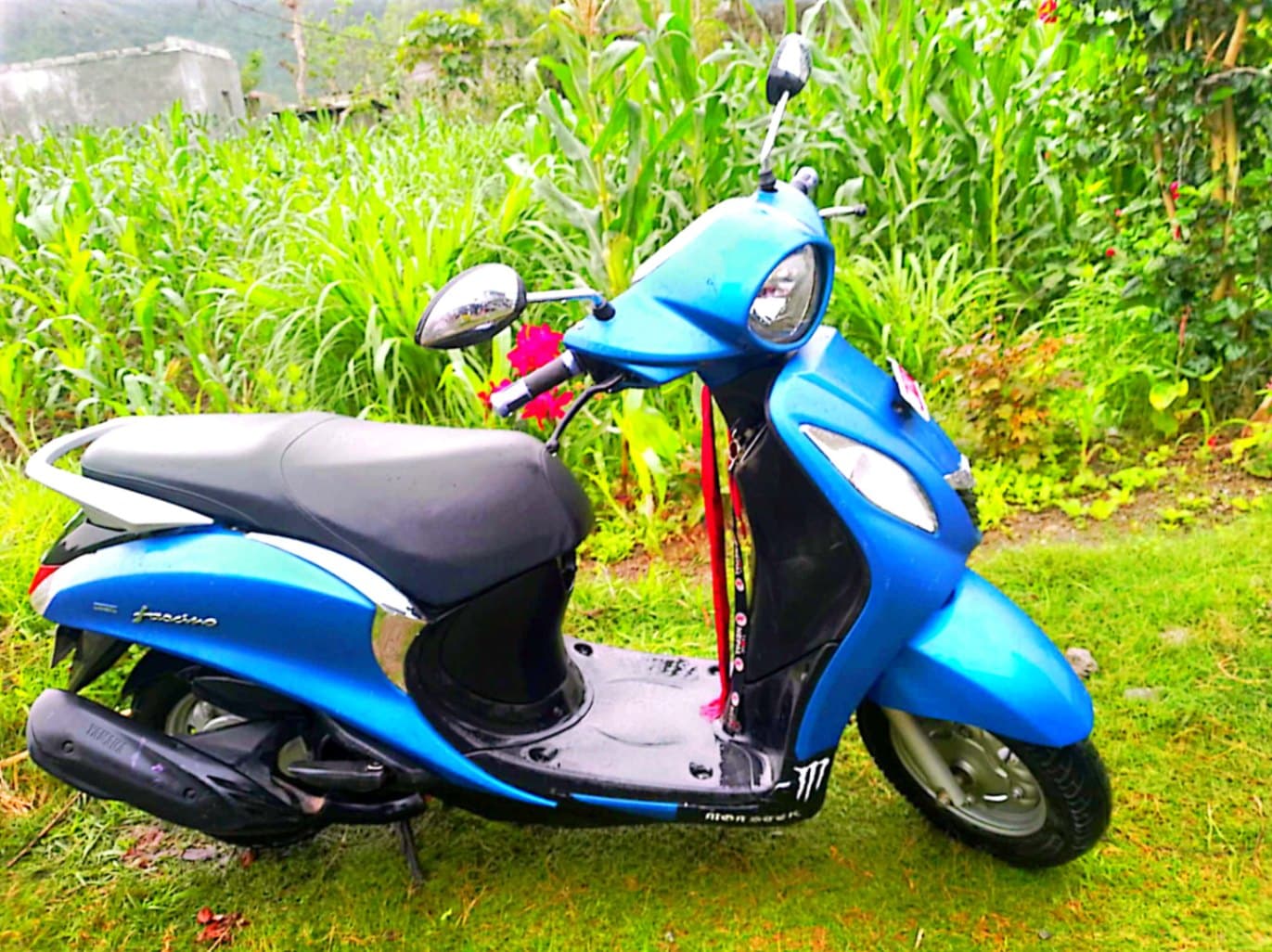 2011 Yamaha Fascino image