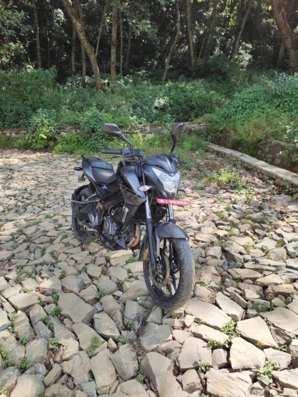 2016 Bajaj NS 400 image