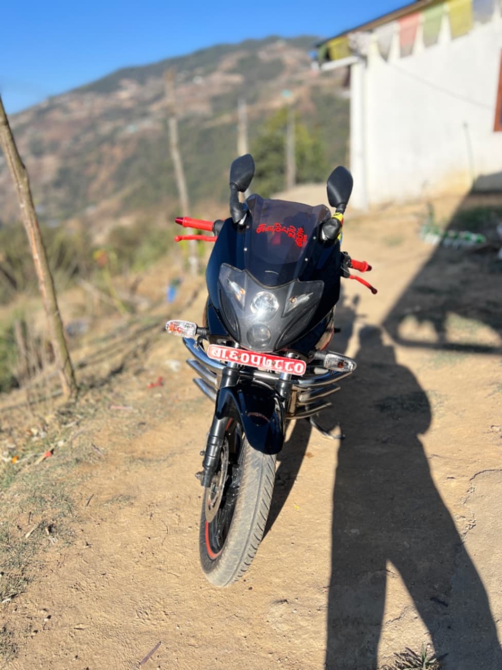 2013 Bajaj Pulsar 220F image
