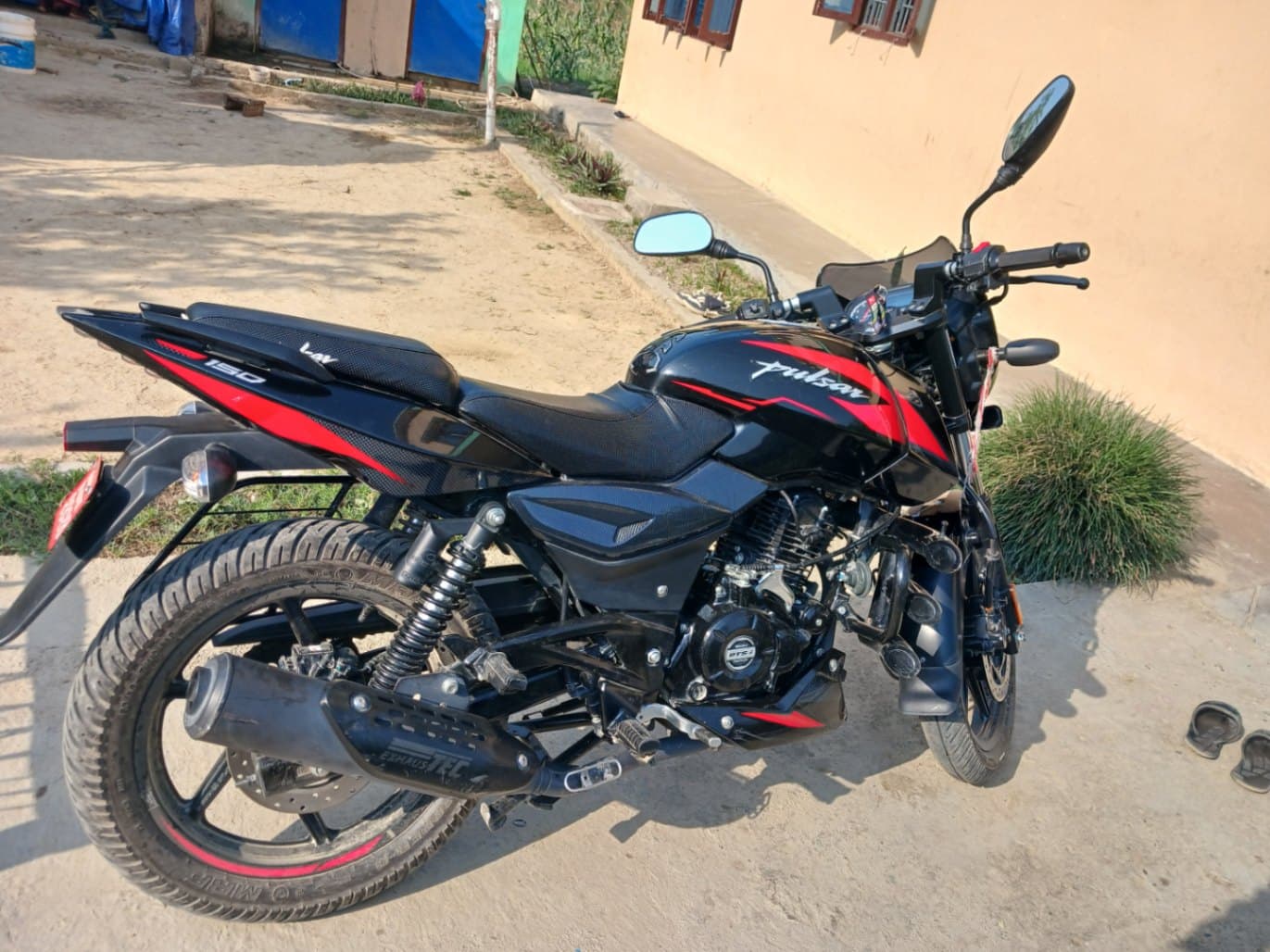 2024 Bajaj Pulsar 150TD image