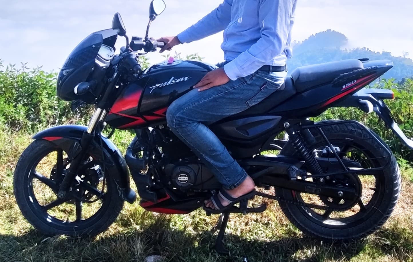 2019 Bajaj Pulsar 150TD image