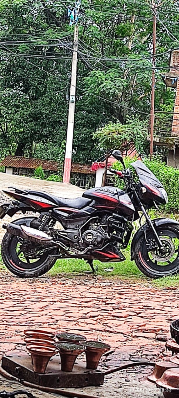 2019 Bajaj Pulsar 150 image