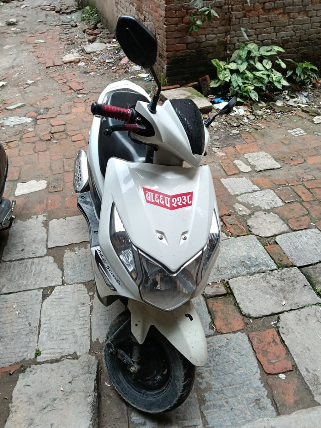 2014 Honda Dio image