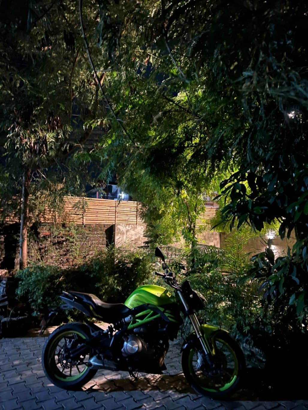 2021 Benelli 302S image
